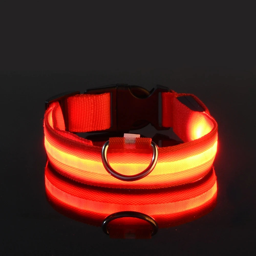 LumiGlow™ High-Visibility LED Safety Collar