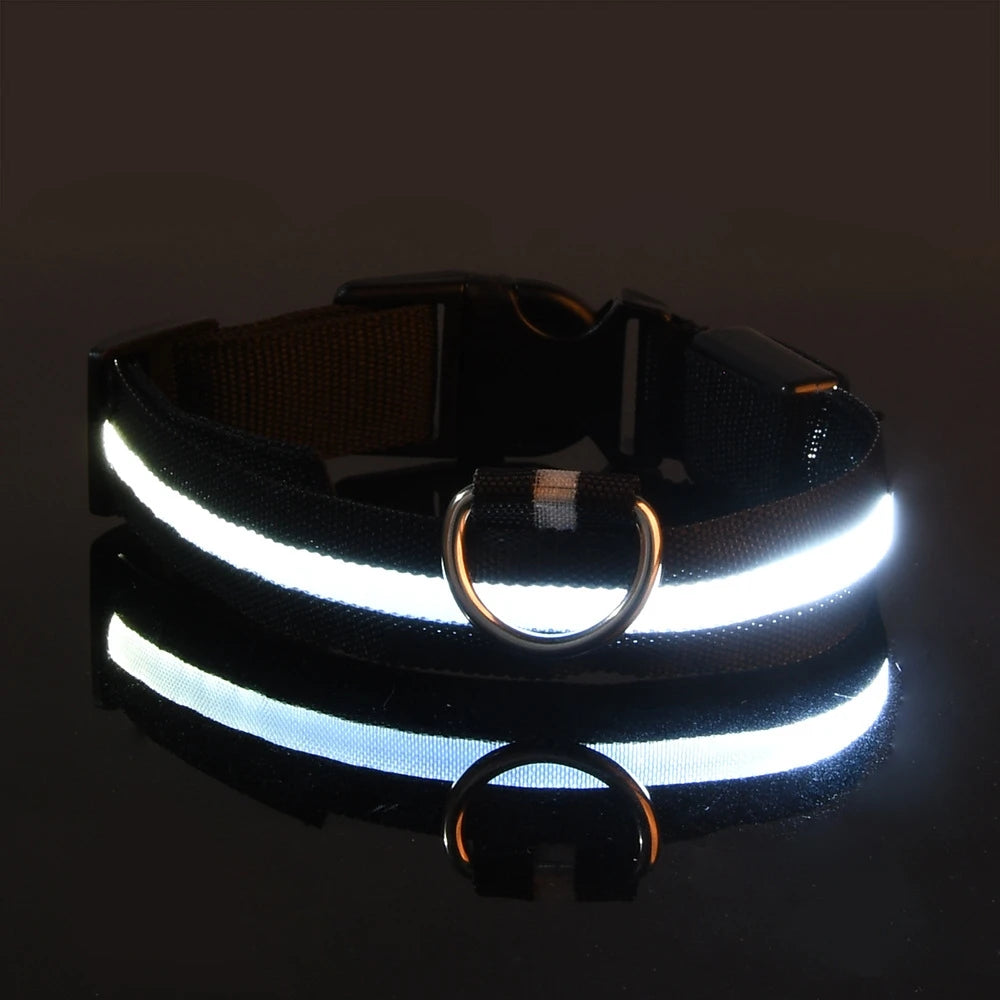 LumiGlow™ High-Visibility LED Safety Collar