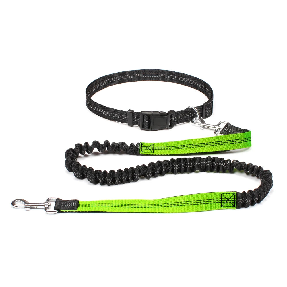 FlexStride™ Hands-Free Bungee Running Leash