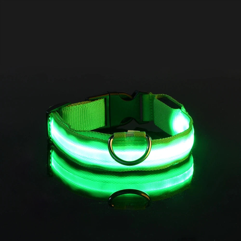 LumiGlow™ High-Visibility LED Safety Collar