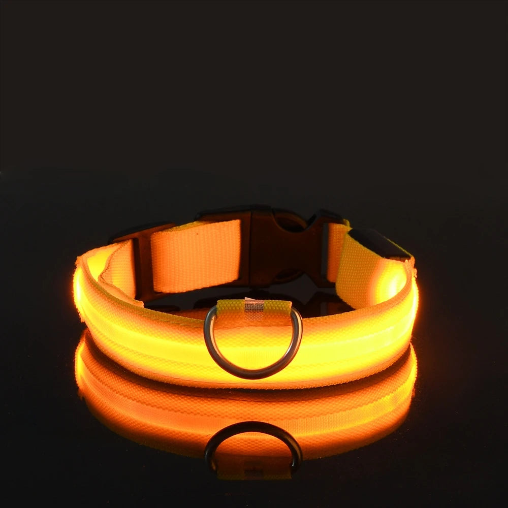 LumiGlow™ High-Visibility LED Safety Collar