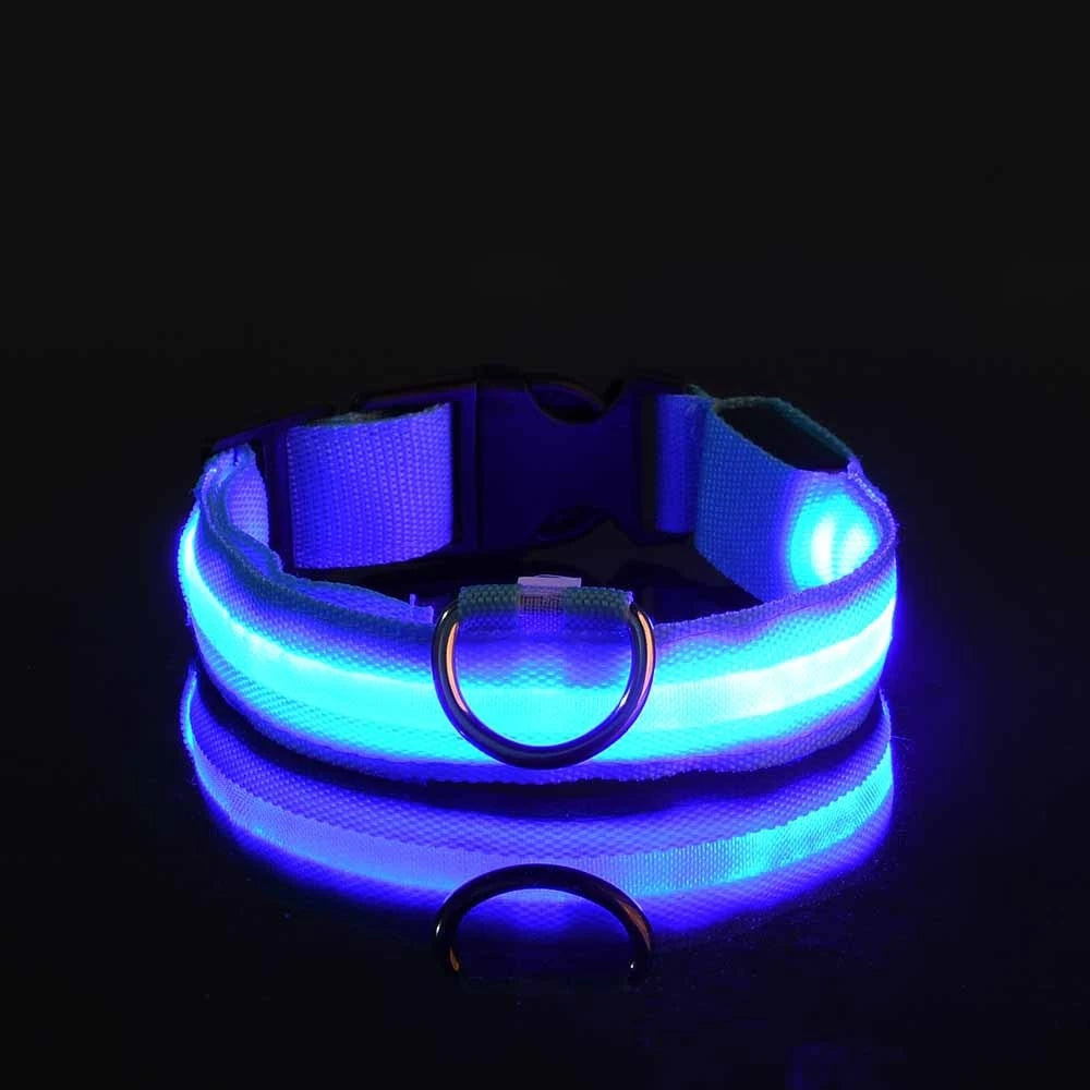 LumiGlow™ High-Visibility LED Safety Collar