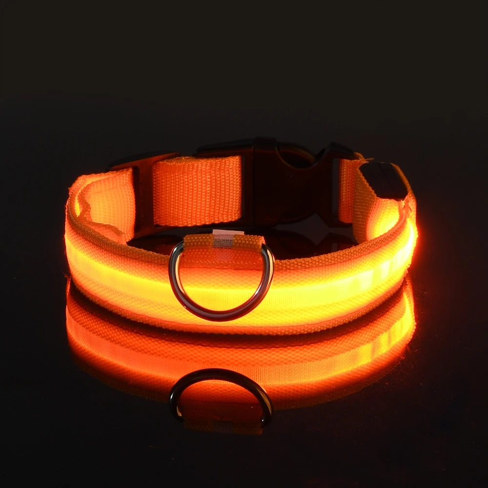 LumiGlow™ High-Visibility LED Safety Collar