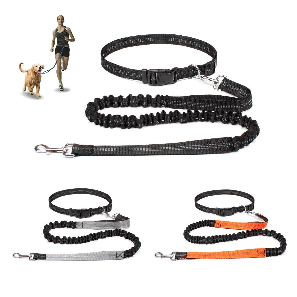 FlexStride™ Hands-Free Bungee Running Leash