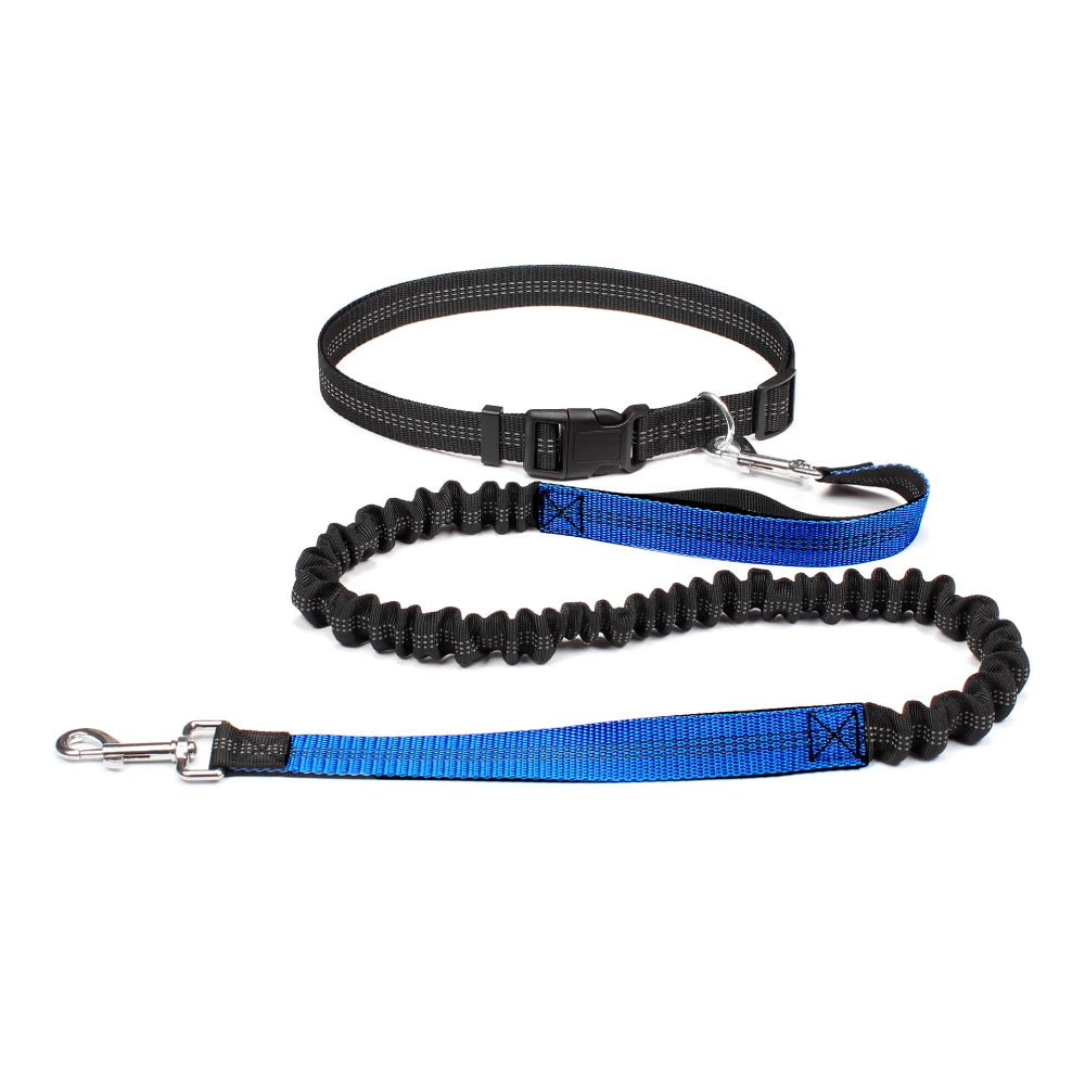FlexStride™ Hands-Free Bungee Running Leash