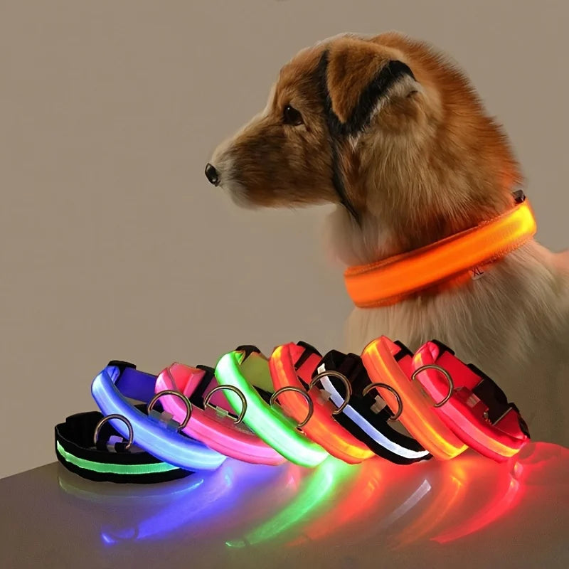 LumiGlow™ High-Visibility LED Safety Collar