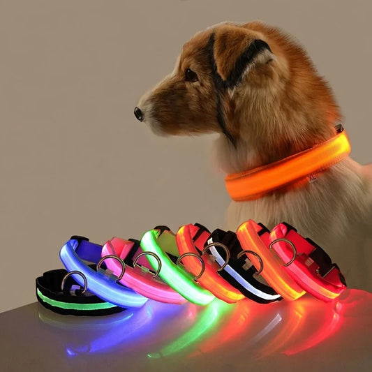 LumiGlow™ High-Visibility LED Safety Collar