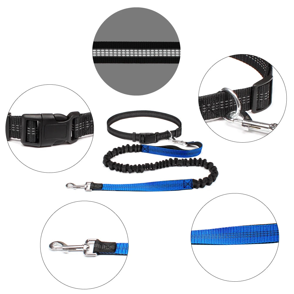 FlexStride™ Hands-Free Bungee Running Leash