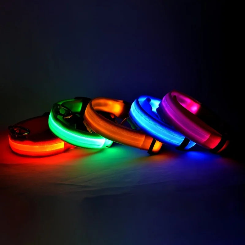 LumiGlow™ High-Visibility LED Safety Collar