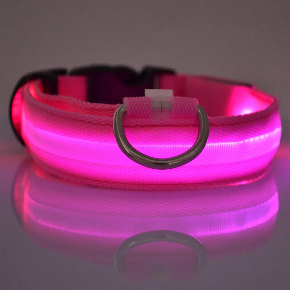 LumiGlow™ High-Visibility LED Safety Collar