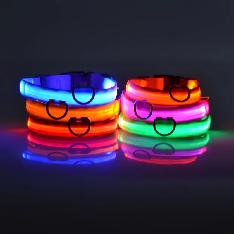 LumiGlow™ High-Visibility LED Safety Collar