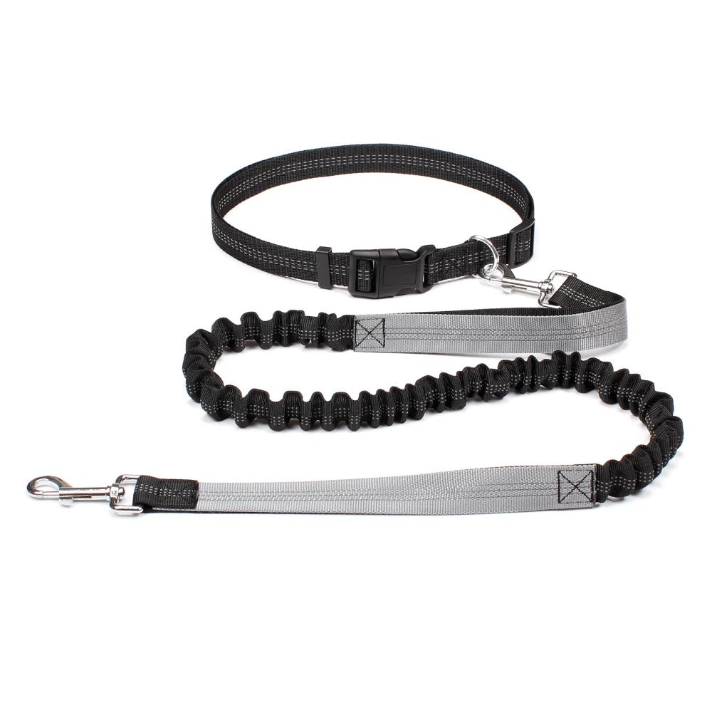 FlexStride™ Hands-Free Bungee Running Leash