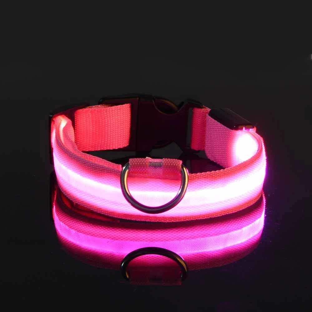 LumiGlow™ High-Visibility LED Safety Collar