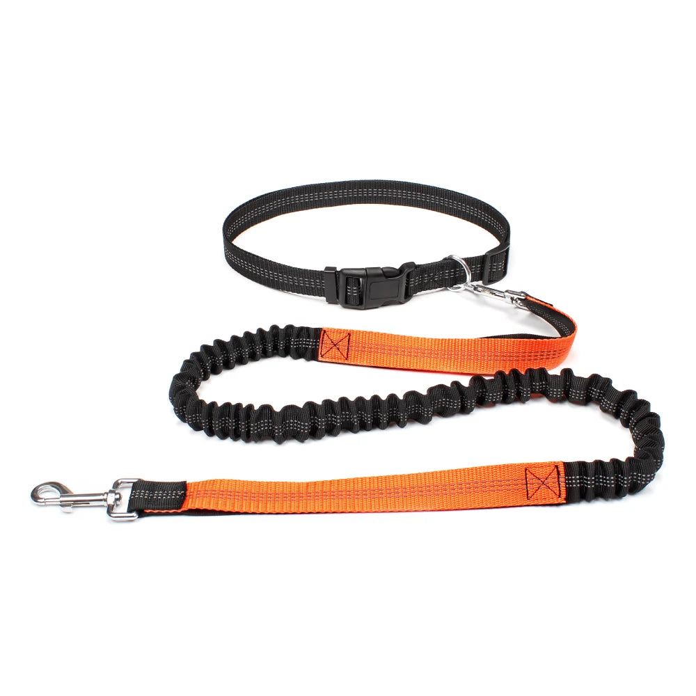FlexStride™ Hands-Free Bungee Running Leash