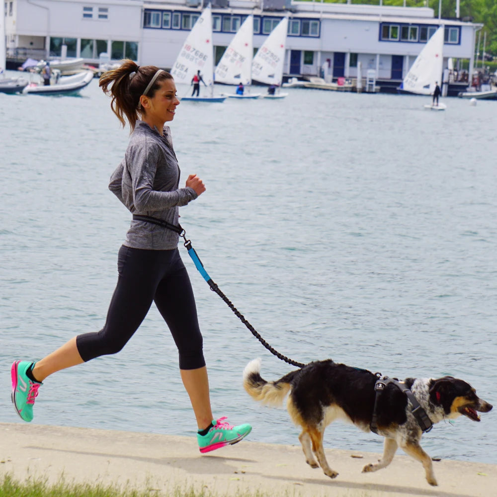 FlexStride™ Hands-Free Bungee Running Leash