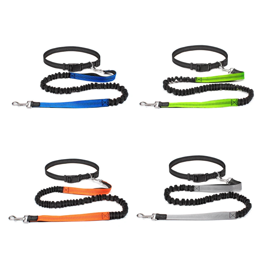 FlexStride™ Hands-Free Bungee Running Leash