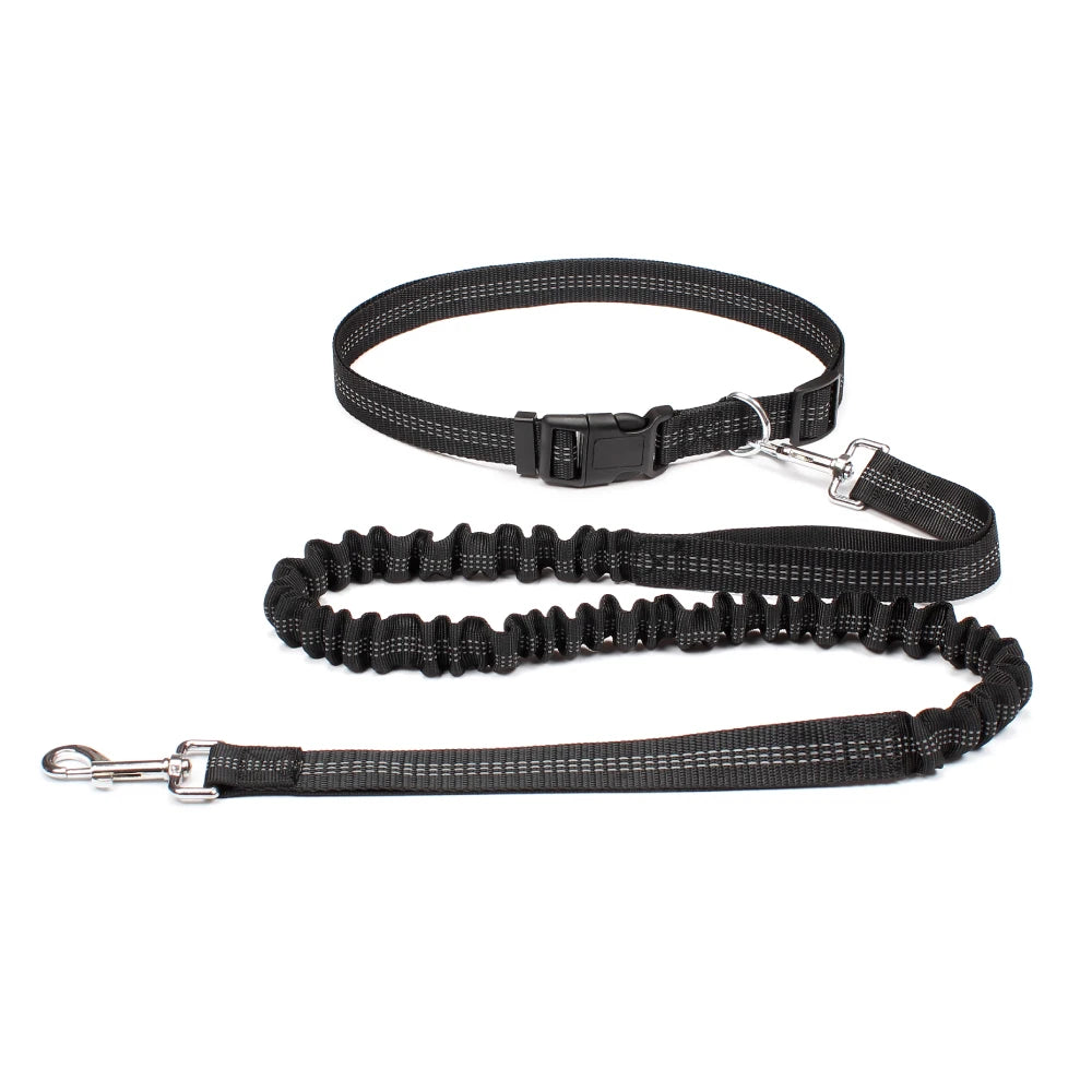 FlexStride™ Hands-Free Bungee Running Leash