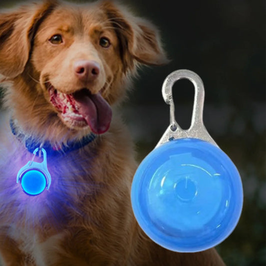 BeaconSafe™ Mini Glowing Collar Tag