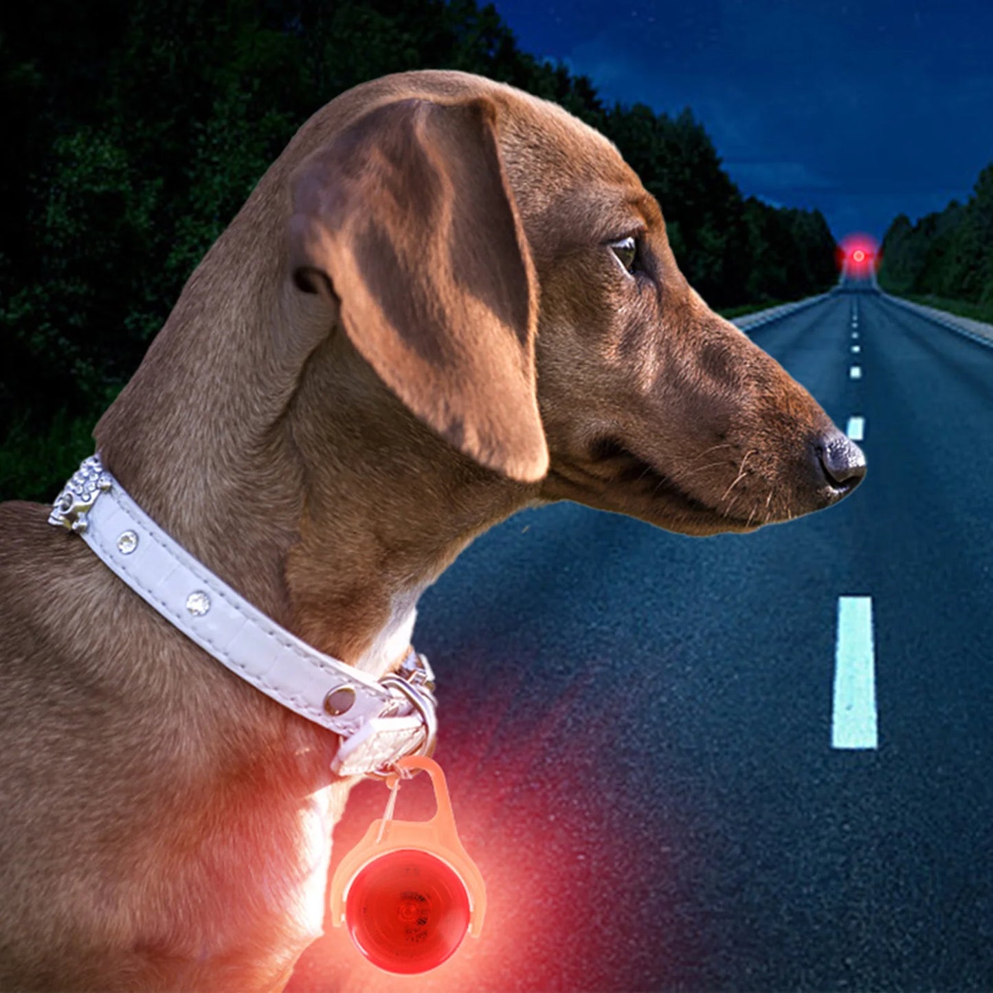 BeaconSafe™ Mini Glowing Collar Tag